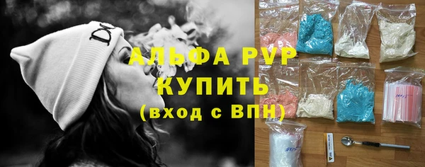 бошки Белокуриха